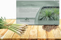 Outsidepride Lemon Grass Seeds for Planting - 2000 Perennial Seeds, Mosquito Repellent, Deer Proof, Citronella Grass for Culinary and Ornamental Use, Blue-Green Foliage, Lemon Grass Live Plant