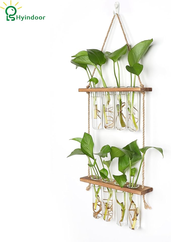 Wall Hanging Planter Terrarium 2 Tired Test Tube Vase Glass Planter Plant Propagation Station Plant Hangers of Rope with Wooden Stand and 8 Tubes for Hydroponic Plant Cutting