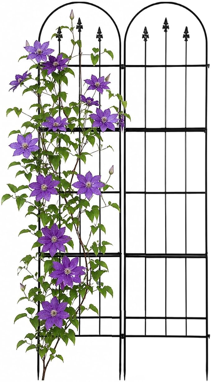 2 Pack Garden Trellis for Climbing Plants Outdoor - 16'' W x 71" H Large Rustproof Metal Plant Support Trellis, Decorative Panels for Climbing Rose, Clematis and Trumpet Vine
