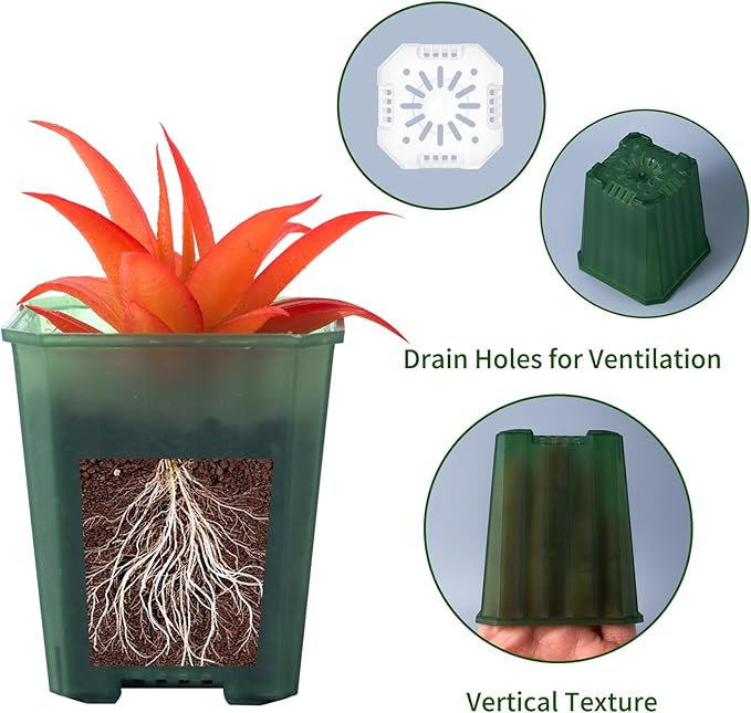 foxany 3 Inch Transparent Green Nursery Pots, 30 Pcs Thick Plastic Plant Pot, Square Flower Planting Pots Variety Pack, Seedling Planter Starter Pots with Saucers for Garden