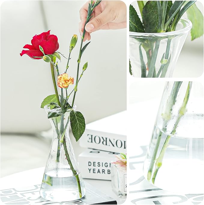 Haoideo Avocado Seed Sprout Starter Vase Planter Pot Glass Avocado Tree Plant Growing Vase Kit Indoor Home Decor Hydroponic Tabletop flower Pot for Plant Lover