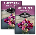 Mammoth Mix Sweet Pea Seeds for Planting – Heirloom Sweet Pea Variety with Giant Fragrant Flowers on Tall Climbing Vines for Trellises and Fences – Survival Garden Seeds (2 Packs)