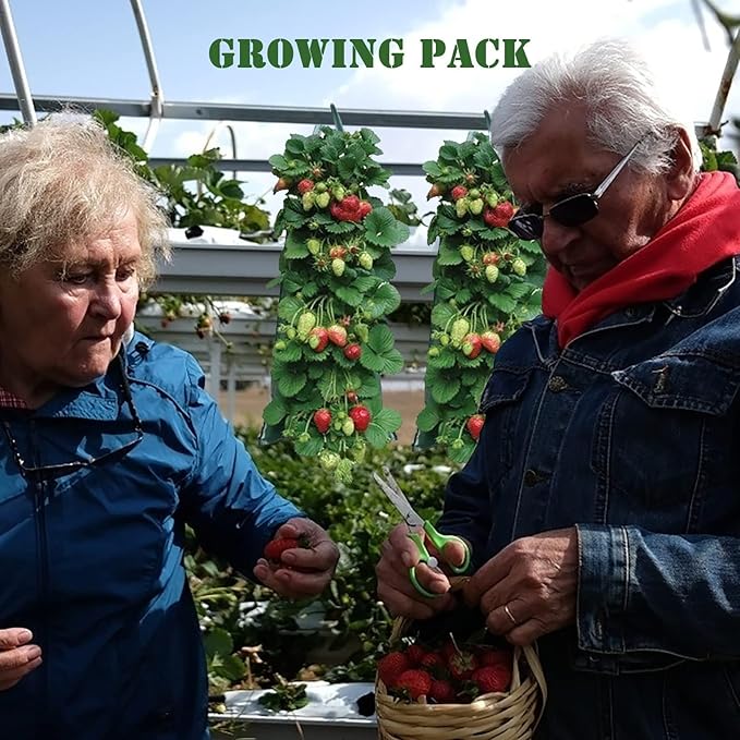 2024 Hanging Strawberry Planter, Upside-Down Patio Garden Tomato Planter Bags, Hanging Strawberry Plant Grow Bags,Hanging Grow Bags Flower Planting Bag Handle Grow Pouch Planter for Outdoor (1)
