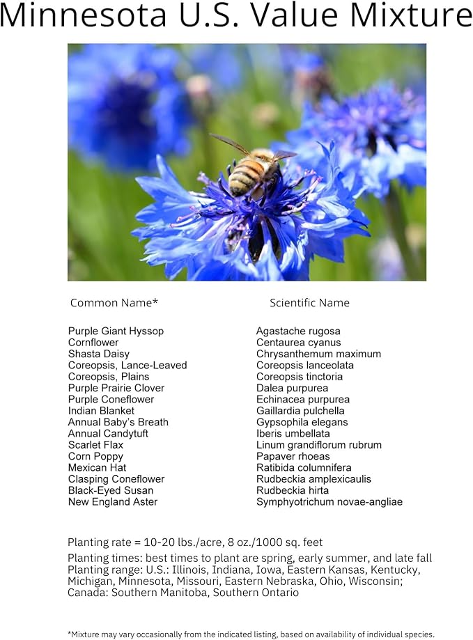Minnesota Bulk Perennial Wildflower Seed Mix 1lb Covers 2,000sq-ft - Attract Pollinators, Multi-Color Blooms - Midwest US Species Plant in Spring/Fall - Earth-Friendly Packaging (1 Pound)