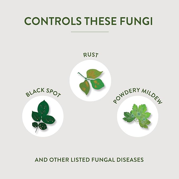 Garden Safe Brand Fungicide3, 1 Gallon, Fungicide, Insecticide and Miticide with Neem Oil Extract for Organic Gardening, Controls Black Spot, Rust, Aphids and Spider Mites