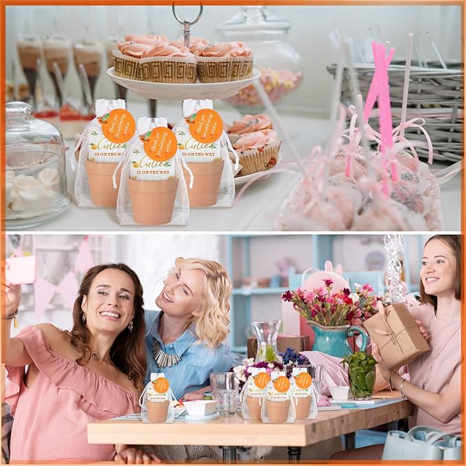 Ctosree 50 Sets Cutie Baby Shower Party Favors for Guests A Little Cutie Is on The Way Seed Packets Include Self Adhesive Seed Packets Flowerpot Thank You Tags Organza Bags for Orange Baby Shower