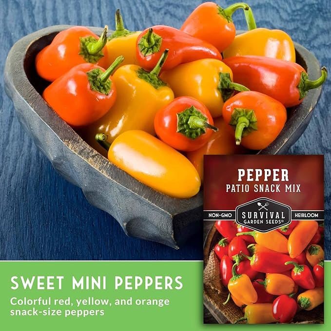 Patio Snack Mix Mini Sweet Pepper Seeds for Planting | Compact Lunchbox-Style Heirloom Variety – Non-GMO Container Garden Peppers – Survival Garden Seeds (1 Pack)