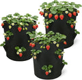 10 Gallon Strawberry Grow Bags Fabric Plant Pots Gardening Bags for Plant Nursery Bag Tomato Strawberry Vegetable Planting Bag