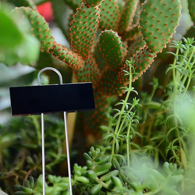 Plant Labels Metal Garden Plant Markers Flower Label Weatherproof Stake Tag Garden Plant Tags with Pen for Seedling Nursery Flower Herb Vegetable Greenhouse(30 Pack) (Black)
