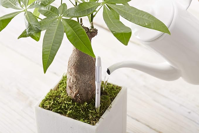 Sustee Aquameter, White, Small - Plant Soil Moisture Sensor - Best for Potted Plants - Refillable Style