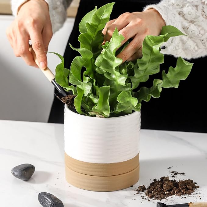 HASENSE 4.6 Inch Plant Pots, Ceramic Flower Pots for Indoor Plants, Small White Planter with Drainage Hole and Saucer, Cute Mini Windowsill Tabletop Decor, Set of 4