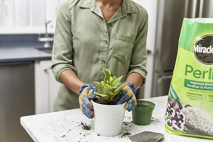 Miracle-Gro Perlite - Enriched with Plant Food, Improves Drainage and Aeration in Potting Soil Mixes, For Container Plants, 8 qt. (2-Pack)