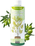 Liquid Olive Tree Fertilizer by Perfect Plants | Olive Plant Food for Real Indoor Trees or Outdoor Growing | High Level Nutrient Content to Boost Flowering & Fruit Production