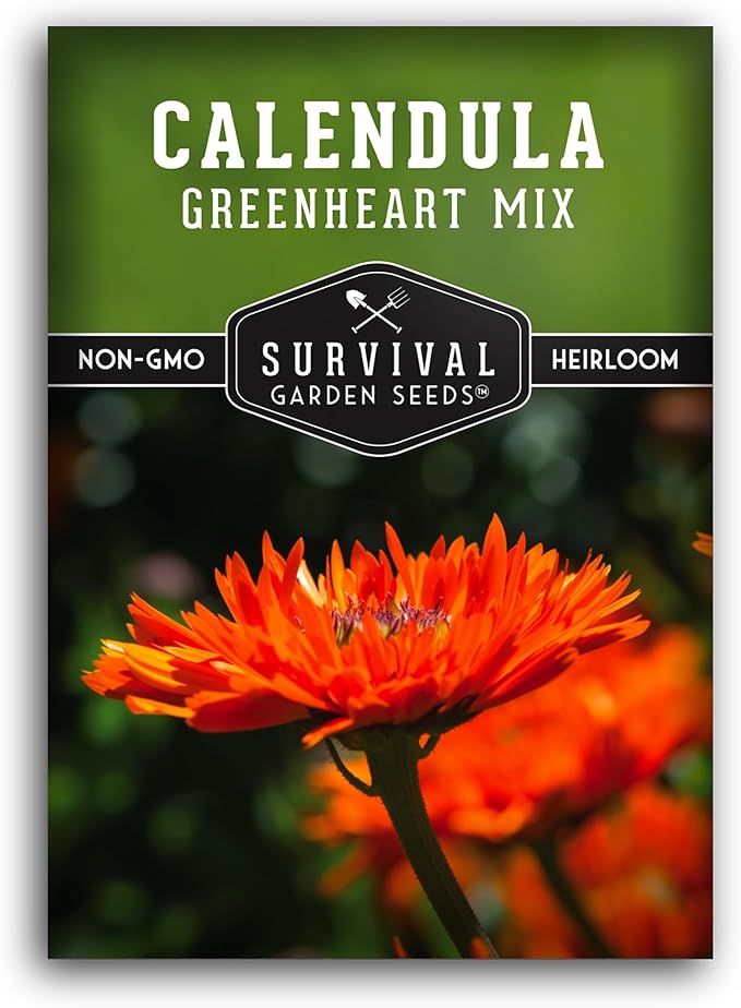Greenheart Mix Calendula Seeds for Planting – Rare Heirloom Pot Marigold with Unique Green-Centered Blooms – Edible Flowers, Medicinal Herb, Pollinator Friendly – Survival Garden Seeds (1 Pack)