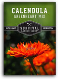 Greenheart Mix Calendula Seeds for Planting – Rare Heirloom Pot Marigold with Unique Green-Centered Blooms – Edible Flowers, Medicinal Herb, Pollinator Friendly – Survival Garden Seeds (1 Pack)