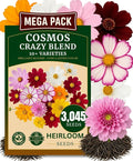 3045+ Crazy Blend Cosmos Seeds, Non-GMO Flower Seeds – 10+ Varieties of Cosmos – Bulk Cosmos Flowering Seed Mix