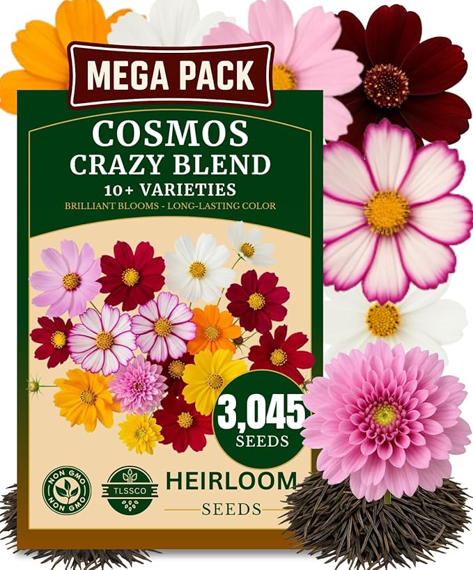 3045+ Crazy Blend Cosmos Seeds, Non-GMO Flower Seeds – 10+ Varieties of Cosmos – Bulk Cosmos Flowering Seed Mix
