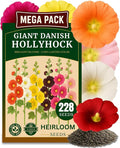 225+ Hollyhock Flower Seeds, Pack for 2026 USA Premium Non-GMO Carnival Mix Giant Hollyhock Seeds - Home Garden Flower Perennial