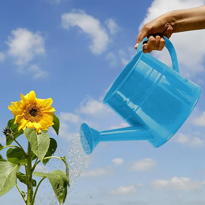 Watering Can, 1L Metal Flower Garden Watering Can, Lightweight Durable Decorative Gardening Tool for Outdoor Indoor Plants Lawn Garden (Blue)