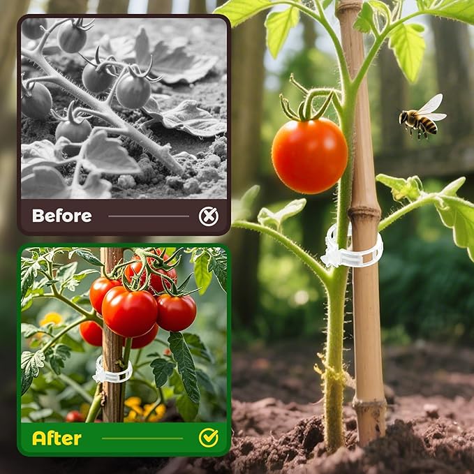100pcs Tomato Clips for Climbing plants, Plastic Trellis Plant Support Clips for Garden, Reusable Clips for Supporting Grape Tomato Vine and Vegetables Plants to Grow Upright Makes Plants Healthier