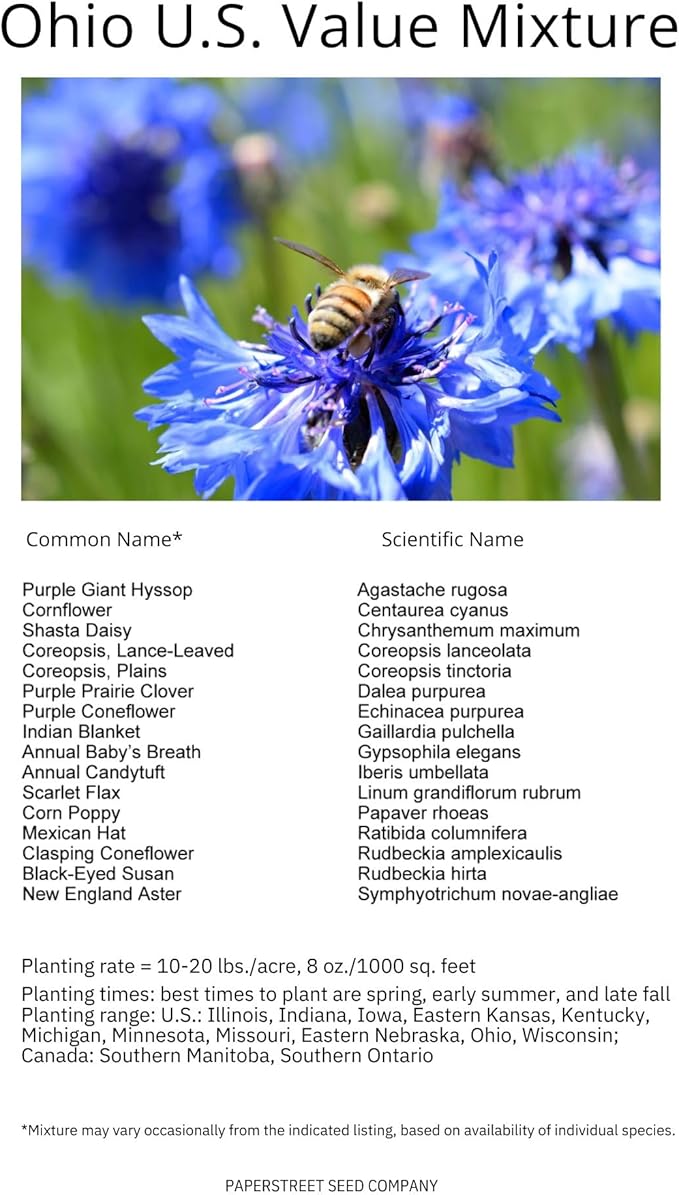 Ohio Bulk Perennial Wildflower Seed Mix 1lb Covers 2,000sq-ft - Attract Pollinators, Multi-Color Blooms - Midwest US Species Plant in Spring/Fall - Earth-Friendly Packaging (1/4 Pound)
