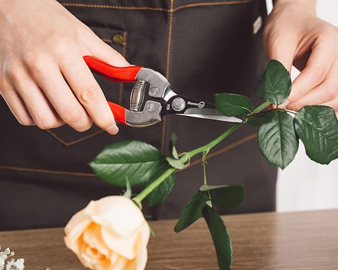 Sanung Pruning Shears Garden Tools Shears Lasting Sharp Labor-Saving for Trimming Plants Fruit Branches Shrub and Flower Suitable for Parks and Courtyard