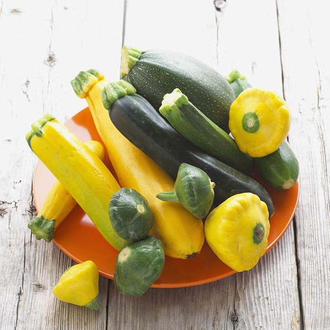 This is a Mix 50 Zucchini and Squash Mix Seeds 12 Varieties Non-GMO Delicious Grown in USA. Rare Super Profilic Cucurbita Pepo