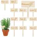 JarThenaAMCS 24Pcs Wooden Plant Label Signs 12 Styles Garden Herb Markers Wood T-Type Tags Reusable Plant Stake Tags with Names for Nursery Indoor Outdoor Garden Decor