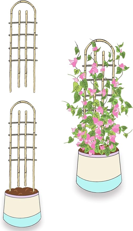 Bamboo Trellis,U-Shape Bamboo Trellis,3Feet,3pack,Trellis for Climbing Plants Outdoor Bamboo,for,Climbing Plants,Tomato, Vegetables,Flowers, Beans, Cucumber,Indoor Potted Climb Plants
