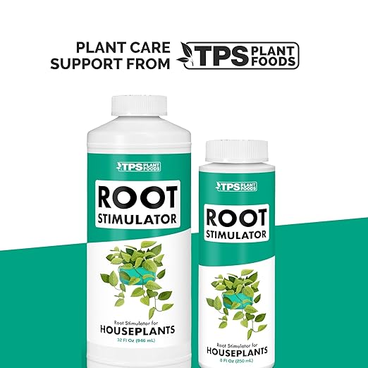 Root Stimulator for Houseplants – Liquid Root Supplement with Kelp & Probiotics for Stronger Roots & Better Nutrient Uptake, 32 oz