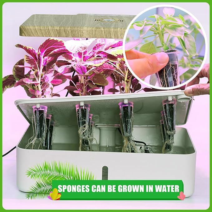 100 Pcs Seed Pods Replacement, Sponges Seed Growth Kit, Grow Sponges for Greenhouses & Germination Equipment, Starter for Indoor Garden System (Black)