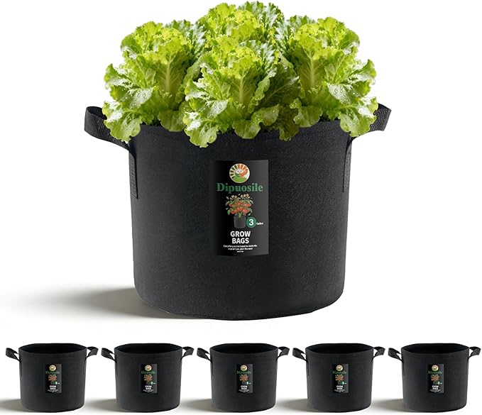 Dipuosile 6-Pack 3 Gallon Grow Bags, Heavy Duty 300G Thickened Nonwoven Plant, Fabric for Tomato,Potato,Vegetables, and Flowers