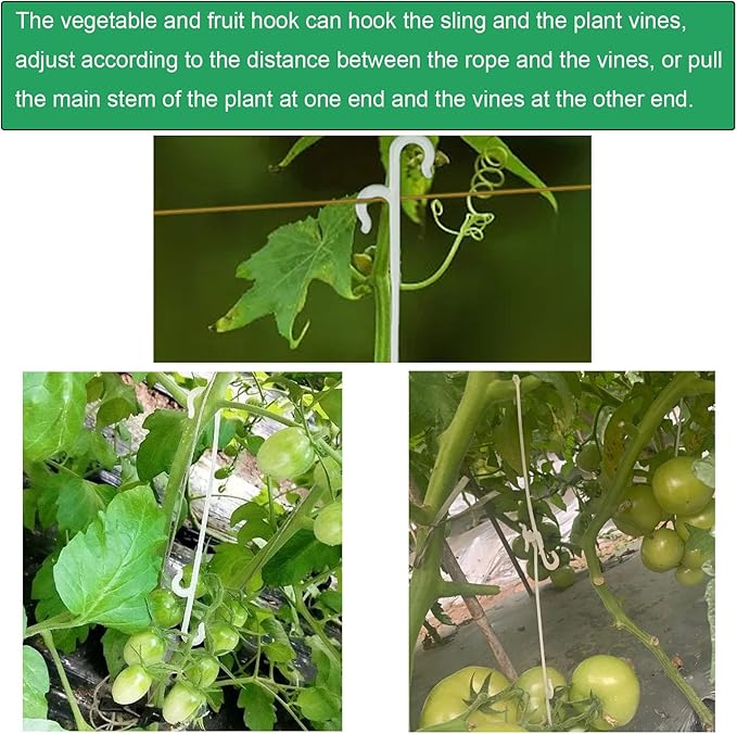 60 Pack Tomato Support Hooks Growing Tomato Clips Instead of Twist Ties Quick Plant Support Clip for Climbing Plants Green Pepper Cucumber Grape Vines Trellis Support Tomato Cages Vegetables