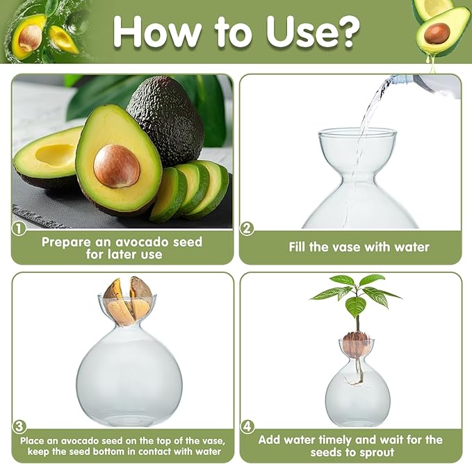 2PCS Avocado Vase Grow Glass Bulb Vases Acorn Seed Starter Vase Avocados Pit Planter Pot for Gardening Lover Indoor Hydroponics
