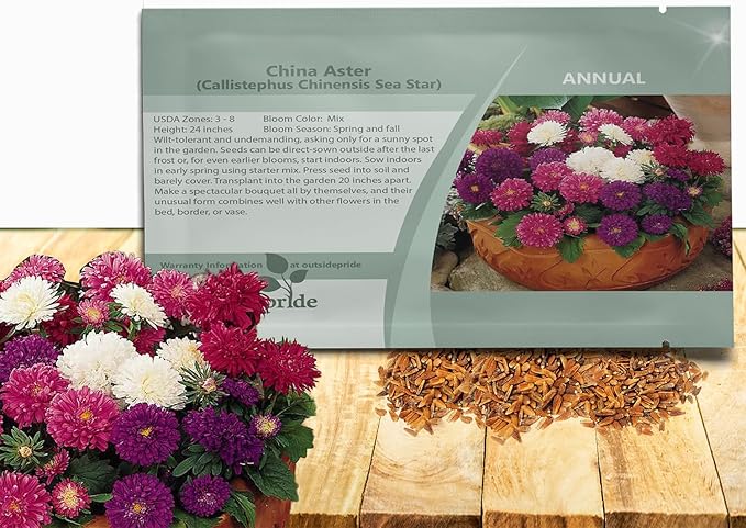 Outsidepride 2,000 Pcs Aster Seeds - Seastar Annual, Hardy & Pollinator Friendly Flower Seeds for Planting Vibrant Mix, Ideal for Meadows & Aesthetic Gardens
