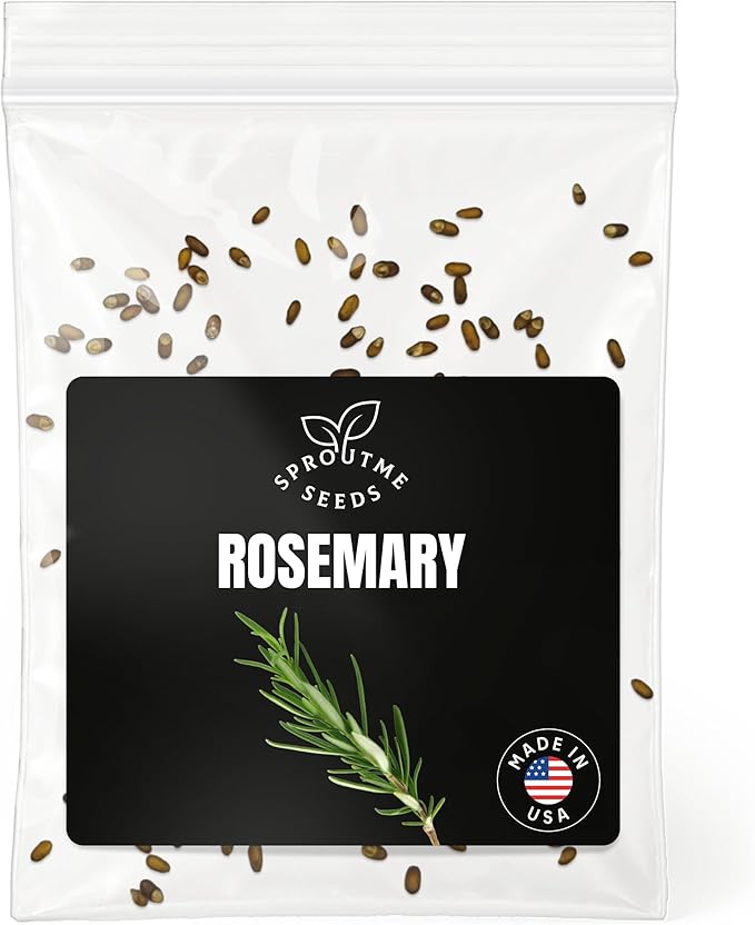 Rosemary Seeds for Planting – 100+ Non-GMO Heirloom Fragrant Evergreen Garden Plant, Ornamental & Pollinator Friendly (Rosmarinus officinalis)