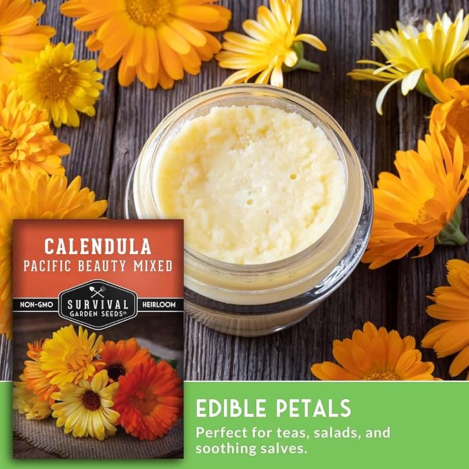 Pacific Beauty Mix Calendula Seeds for Planting – Colorful Heirloom Pot Marigold with Edible & Medicinal Flowers, Pollinator Friendly – Survival Garden Seeds (2 Packs)