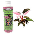EZ-GRO Liquid Philodendron Fertilizer - Indoor Plant Food with Ratio of 3 1 2 NPK Fertilizer for Philodendron Plants | Premium Indoor Plant Fertilizers for Healthy Growth