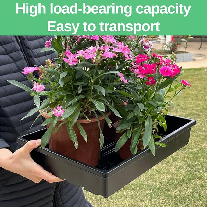 Heavy-Duty Extra Thick Seed Starting Trays 10 Pack, Reusable Microgreens Growing & Germination Trays, Durable Fodder Flats for Plants & Seedlings, No Leakage, No Holes, 15 x 11 x 2.5 Inches