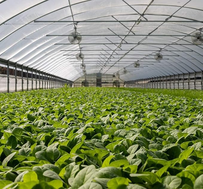 Garden Netting Pest Barrier: 8'x20' Fine Bug Netting for Garden Protection Row Cover Raised Bed Screen Mesh Greenhouse Mosquito Net, Protecting Tree Plants Vegetable Flowers Fruits