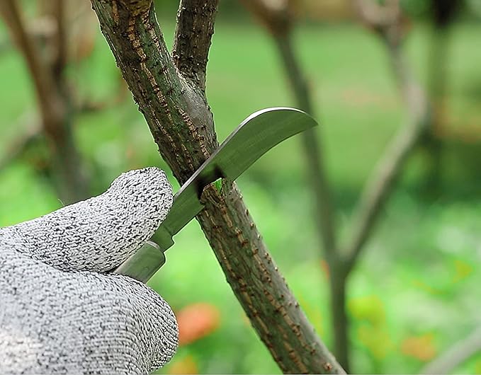 Grafting Knife With 2 Blades & 2 Tapes - Stainless Steel Gardening Tool for Plant Grafting, Pruning, Fruit Picking - Portable Rosewood Handle, Bark Lifter (Foldable)