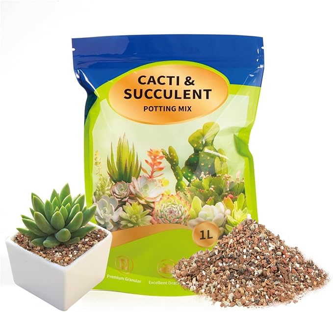Succulent & Cactus Soil Potting Mix 1qt, Chunky Dirt with Fast Draining Fits for Bonsai, Terrarium and Houseplant