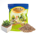 Succulent & Cactus Soil Potting Mix 1qt, Chunky Dirt with Fast Draining Fits for Bonsai, Terrarium and Houseplant