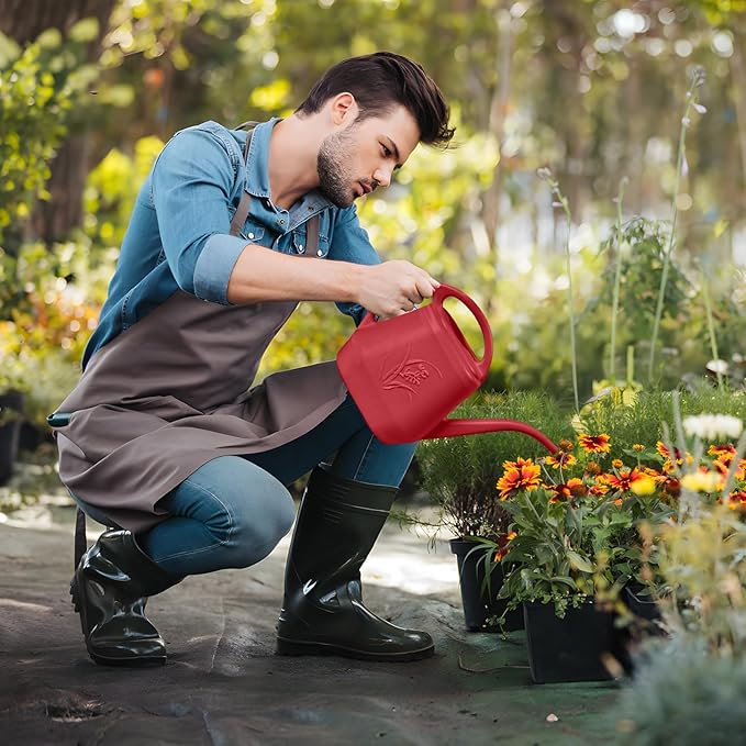 Plant Watering Can - 1/2 Gallon - Wine Red