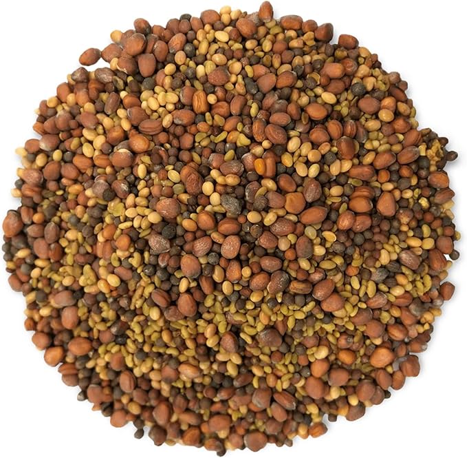 Food to Live Organic Salad Mix of Sprouting Seeds, 8 Ounces — Non-GMO Broccoli, Radish, Clover, Alfalfa. Rich Germination Rate, Non-Irradiated, Kosher, Vegan Superfood, Bulk, Rich in Sulforaphane