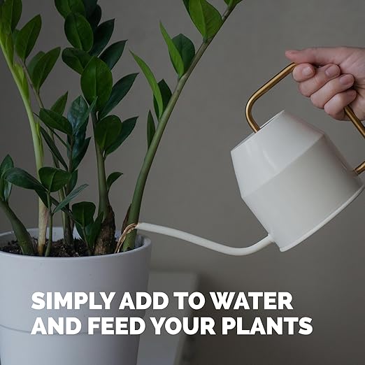 ZZ Plant Fertilizer – Liquid Plant Food for Glossy Green Leaves, Stronger Roots & Healthy New Growth, 32 oz