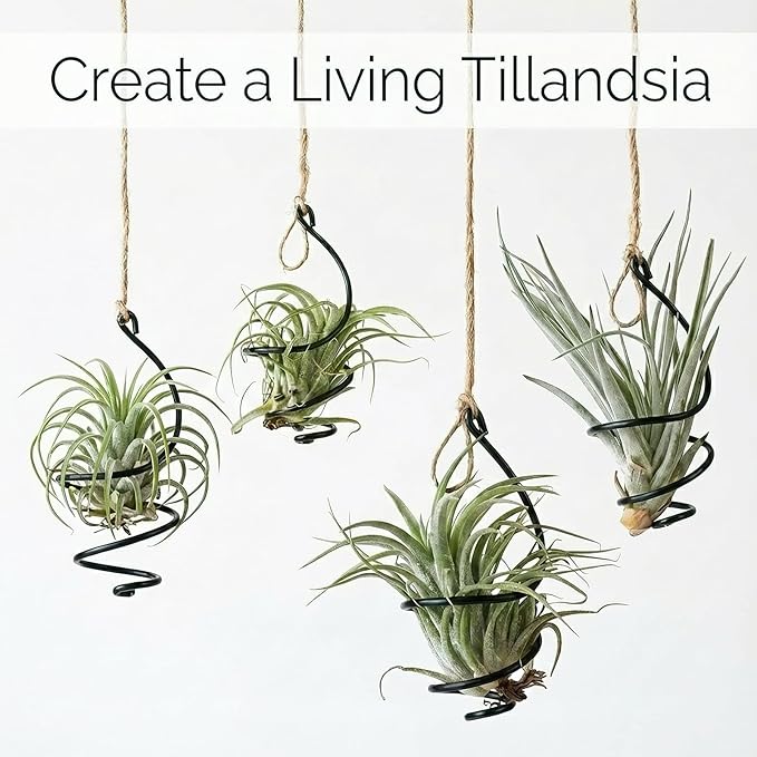 6 Pack Air Plant Holder Hanging Metal, Adjustable Tillandsia Holders with Jute Rope, Minimalist Hanging Air Plant Holder Display for Succulents, Boho Wall Decor Window Plants Hanger