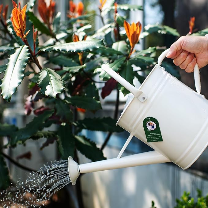 1 Gallon Watering Can, Matte Cream, Metal Watering Can with Removable Spout, Galvanized Water can, Perfect Plant Water Can for Outddor and Indoor Use