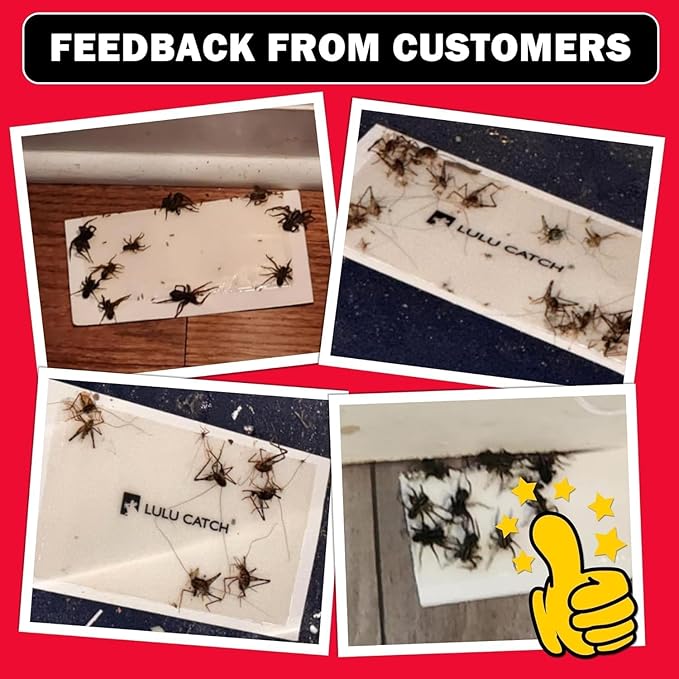 LULUCATCH Mouse Traps, 36 Pack Pre-Baited Sticky Mouse Traps Indoor for Home, Non-Toxic Bulk Sticky Pads, Glue Traps for Rats, Bugs, Spider, Mice, Cockroach, Pet Safe Pest Control