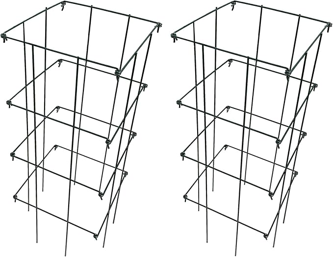 Ferry Morse Plant Cage - Folding Tomato Trellis Cage, Heavy Duty Support, 2 Pack - Steel, 16x16x39.5 in